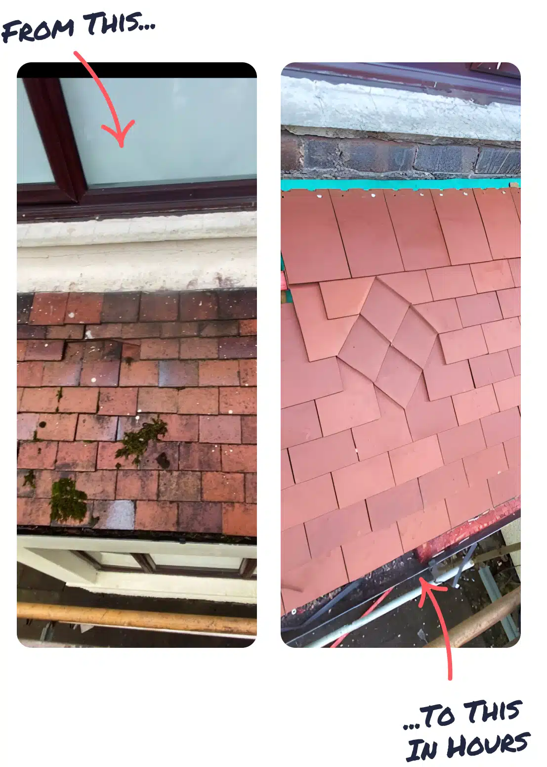 roofing repairs expert